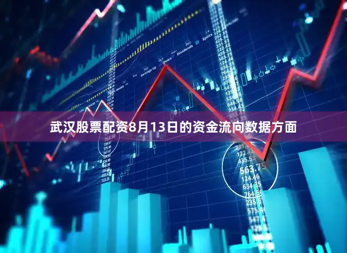 武汉股票配资8月13日的资金流向数据方面